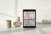 The Slay BluePrint E-Guide