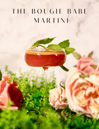 The Martini Meetup Cocktail Book